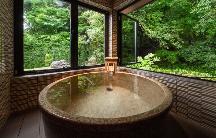 富士山温泉 八海木花館