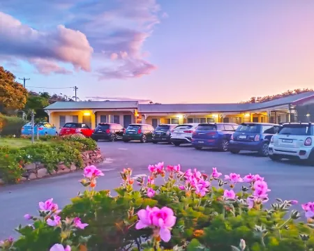Wintersun Gardens Motel فنادق في بيتشينو