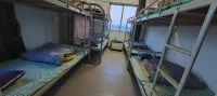 WenXingJiuJiu - 1-Star