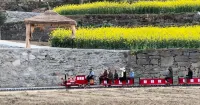 Wutong Mountain Starry Sky B&B
