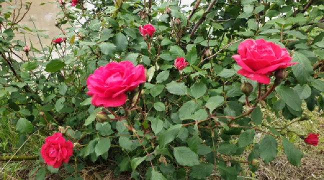 JunLivePension Отели рядом с достопримечательностью «Музей истории Канхва»