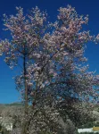 B&B Los Lujos Hotels in Oria