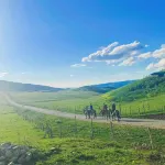 Qiongkushitai Pinellia Homestay 전쿠시타이 퍼플러 주변 호텔