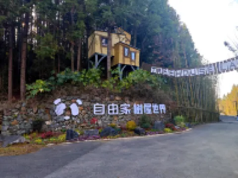 Ziyoujia · Tree house World Hotels in Xiuning