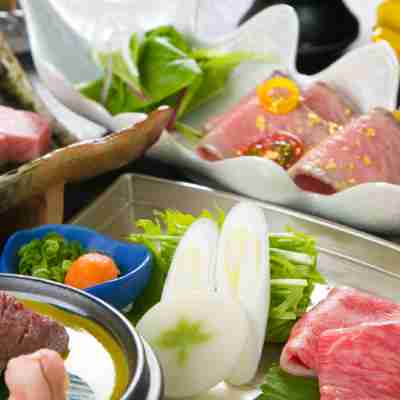 飛騨亭花扇 Others