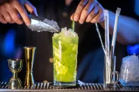 Garner Hotel Elmshorn Hotels in Bokel