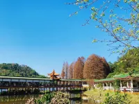 โรงแรมจินซิน เหมยโจว - สัตว์เลี้ยง