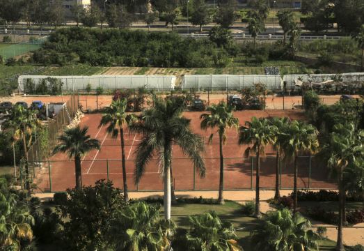 머큐어 호텔의 잘 정돈된 정원