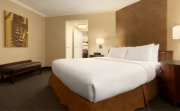 Embassy Suites by Hilton Austin Downtown South Congress Hotels near Ann W. Richards Congress Avenue Bridge