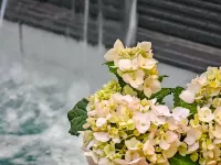 Floral Hotel·Qin Garden Hotel