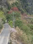 Haokunhu Lake View Homestay - con vistas a la montaña