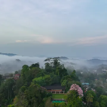 Kings Pavilion Luxury Hotel