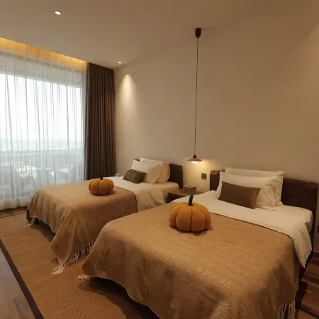 Yuncheng Banshan · Guanhu Homestay