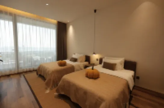 Yuncheng Banshan · Guanhu Homestay