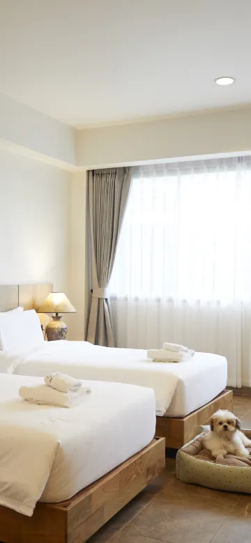 ห้องซิกเนเจอร์แกรนด์ (เปิดให้นำสัตว์เลี้ยงเข้าพัก)