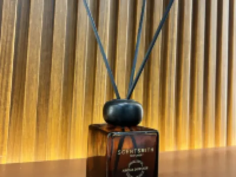 Transient Room in Lipa City リパのホテル