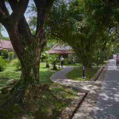Samanea Beach Resort & Spa Hotel Exterior