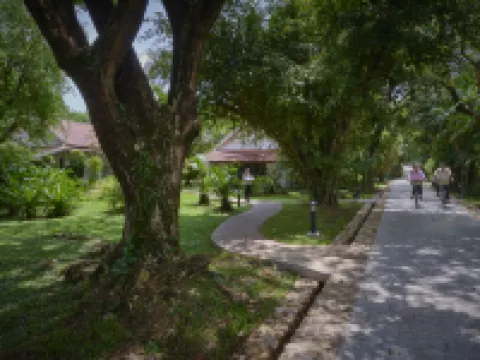 サマネア ビーチ リゾート& スパ ケップのホテル