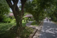 Samanea Beach Resort & Spa Hotels in 