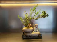 China/Henan/Nanyang/Wancheng District /X014 30 meters east of Longteng Community Deli Stationery