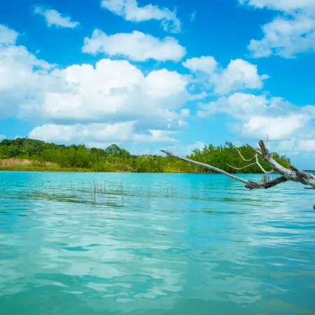 The Explorean Selva Maya Kohunlich