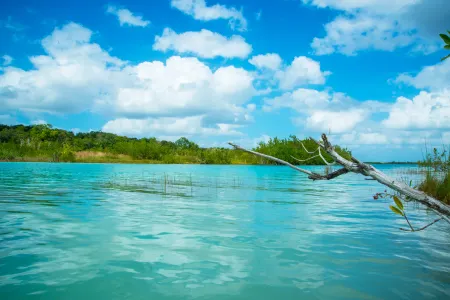 The Explorean Selva Maya Kohunlich