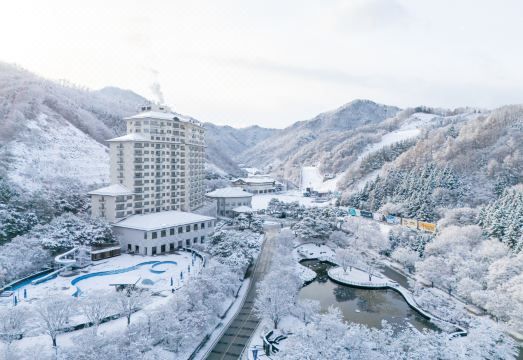 엘리시안 강촌 리조트