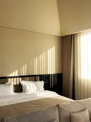 DA YIN YU SHI MIN SU Hotels in Shaoshan