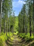 Ningguo Youjian Shanhe Homestay (South Anhui Sichuan-Line Sequoia Forest Branch) - Romantic