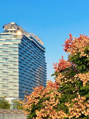 Steigenberger Icons Changsha - spa