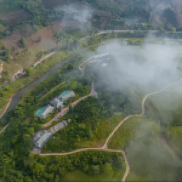 Aini Garden