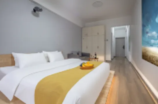 Qingfeng Xulai Apartment Hotel (Changsha Railway Station Subway Exit)