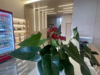 Xidaxuan Hotel (Xushui No.2 Middle School Branch) Hotels near Mosque (Qingzhensi Street)