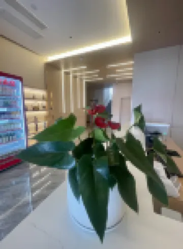 โรงแรมซีดาซวน สาขาโรงเรียนมัธยมหมายเลข 2 ซูสุ่ย