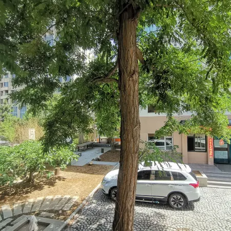 Changhai No.10 Homestay (International Bathing Beach Torch Eighth Street Branch)