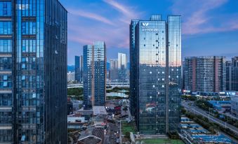 Ganzhou Wellton W Hotel (Da Vinci The Mixc)