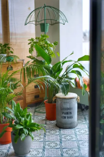 上海小桃籬民宿 崇明東灘鳥類国家級自然保護区周辺のホテル