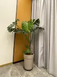 Wolong Vacation Apartment (Wuyishan Sangu Resort Area) - 2-Star