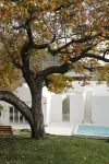 LAGOM HOUSE