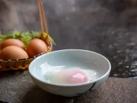YU-FURI NASU-SHIOBARA