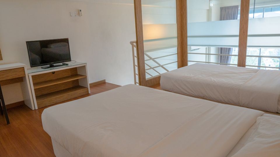 The Ceo Executive Suites