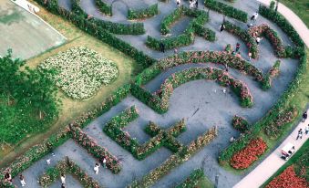 Lily Smart Hotel (Swan Lake Wanda Branch)