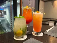 尼日利亞君悅連鎖酒店(小紅書同名+三餐全包+展商圈+免費接送） - 酒吧