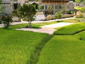 黃山澍德堂•黟縣交叉小徑的花園
