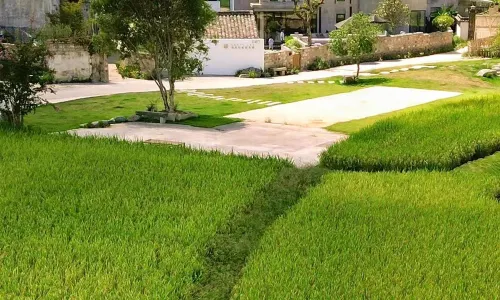 The Garden of Forking Paths