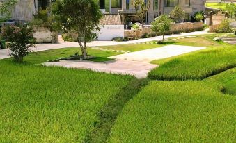 The Garden of Forking Paths