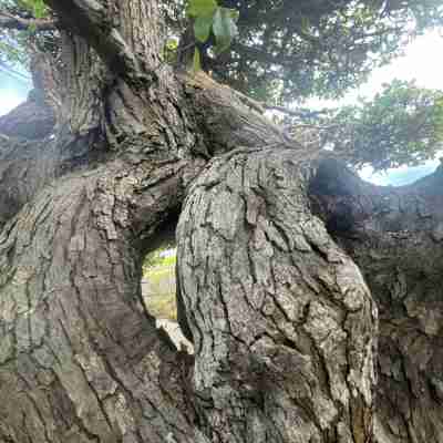 蒼々さぬき志度 Rooms