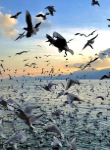 千尋槐序酒店（民族村滇池風景區店） 鄰近雲南民族村的酒店