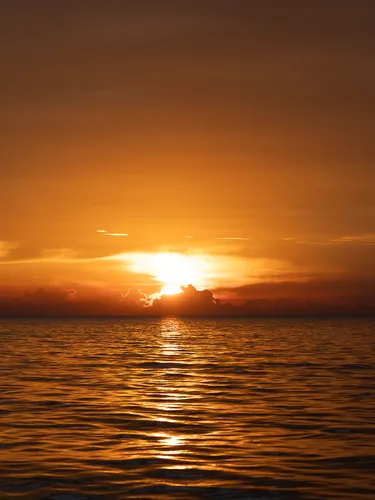 รูปภาพของไฮอะเวย์ เกาะหลีเป๊ะ