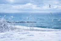 Hotel Cocoa - Ocean View